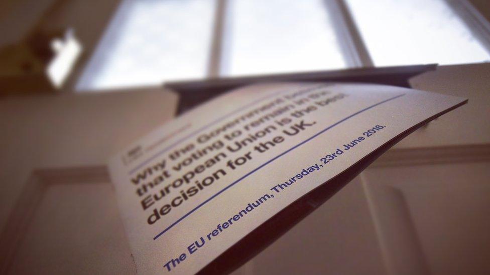 EU referendum letter