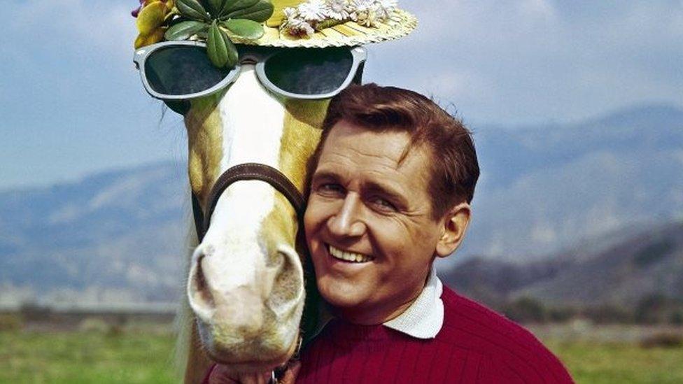 Alan Young and Mr Ed, the talking horse. Photo: March 1962