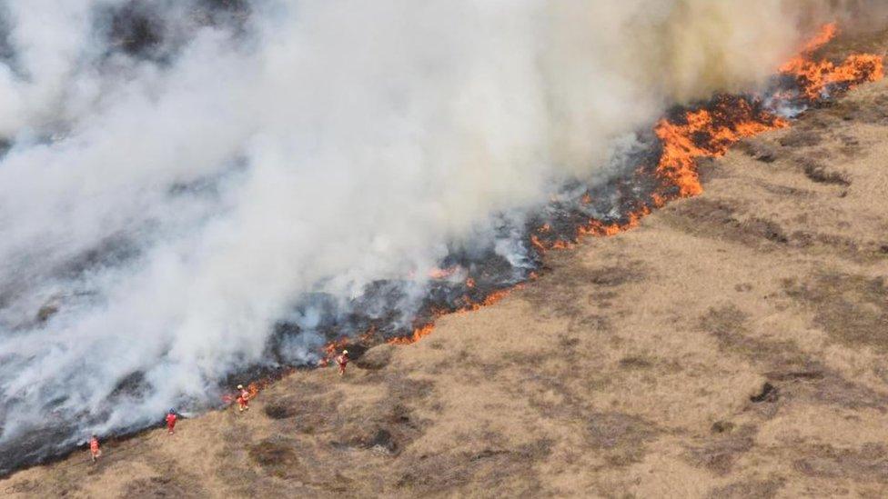 Firefighters fighting moorland fire