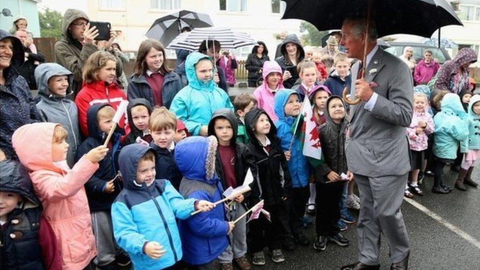 A crowd greets Prince Charles as he visits Llandovery Hospital to unveil a new x-ray machine