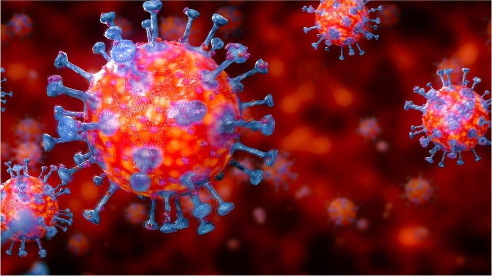 Coronavirus