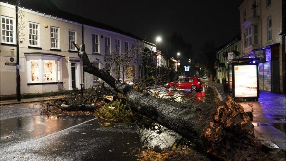 A fallen tree blocks a road in the centre of Norton village in Teesside