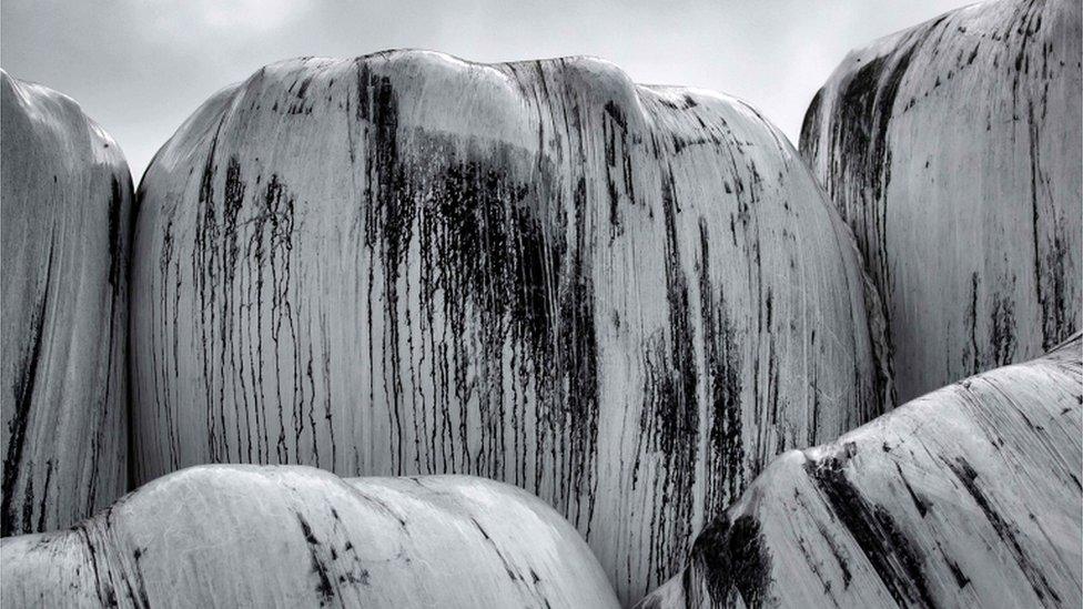 Balls of straw wrapped in plastic are covered with marks of black residue in Saint Martin-du-Vivier, near Rouen, 30 September 2019