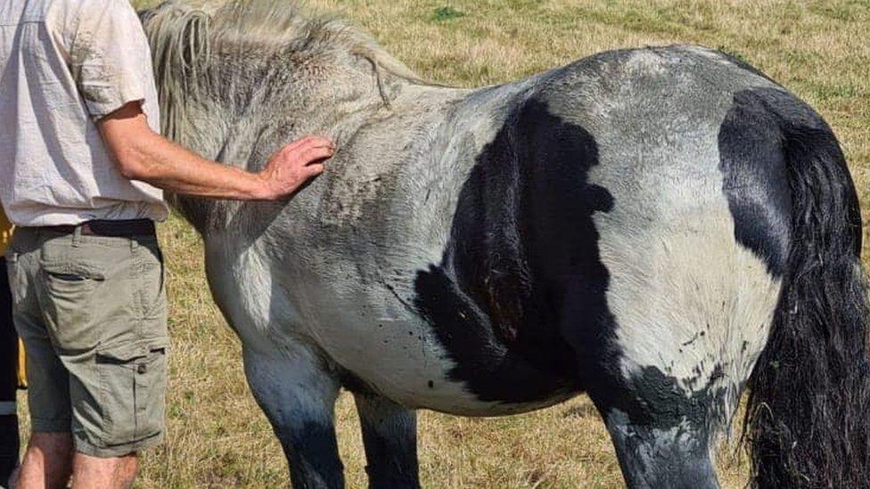 Man standing by a horse