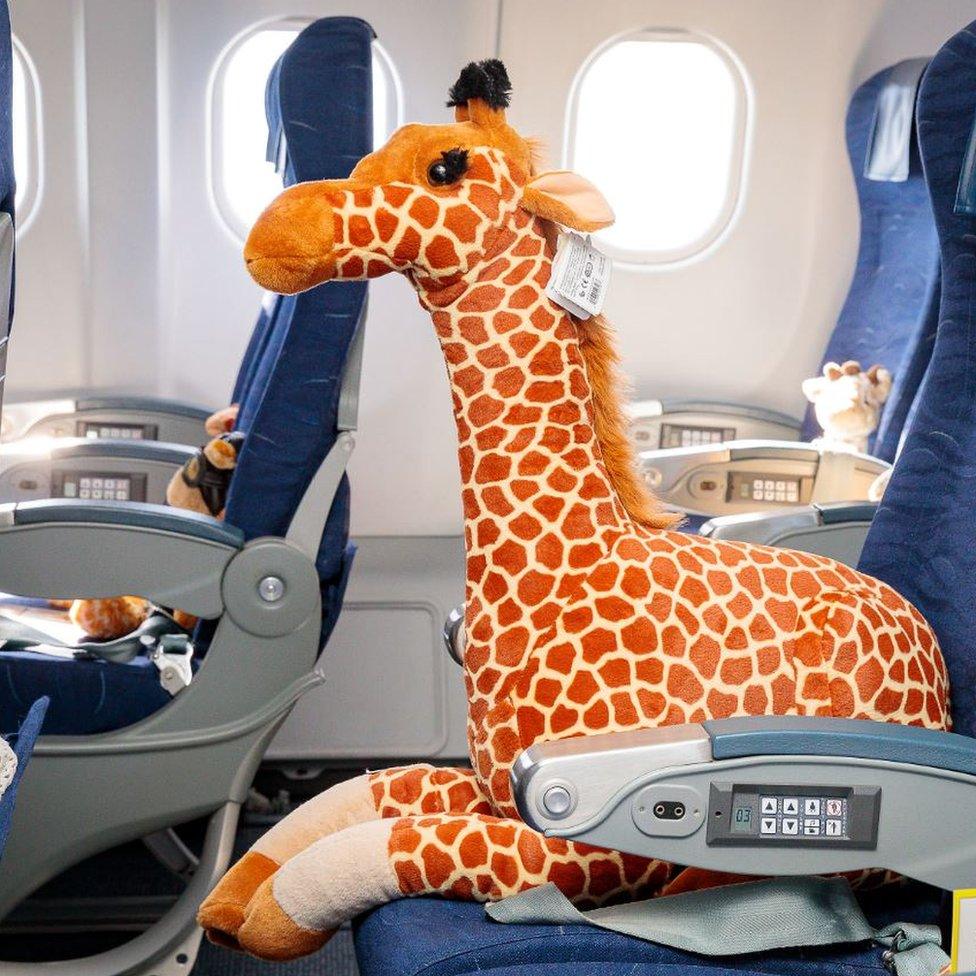 Toy giraffe on plane