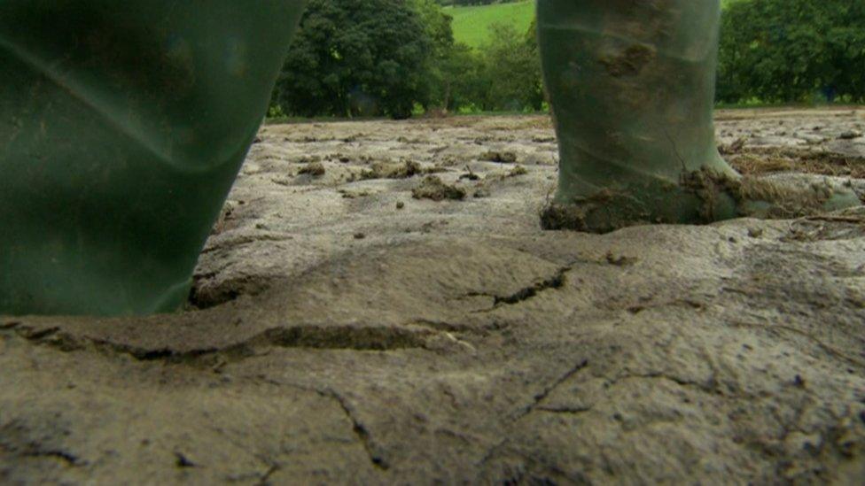 Farmers were filmed up to their ankles in silt in their fields last August