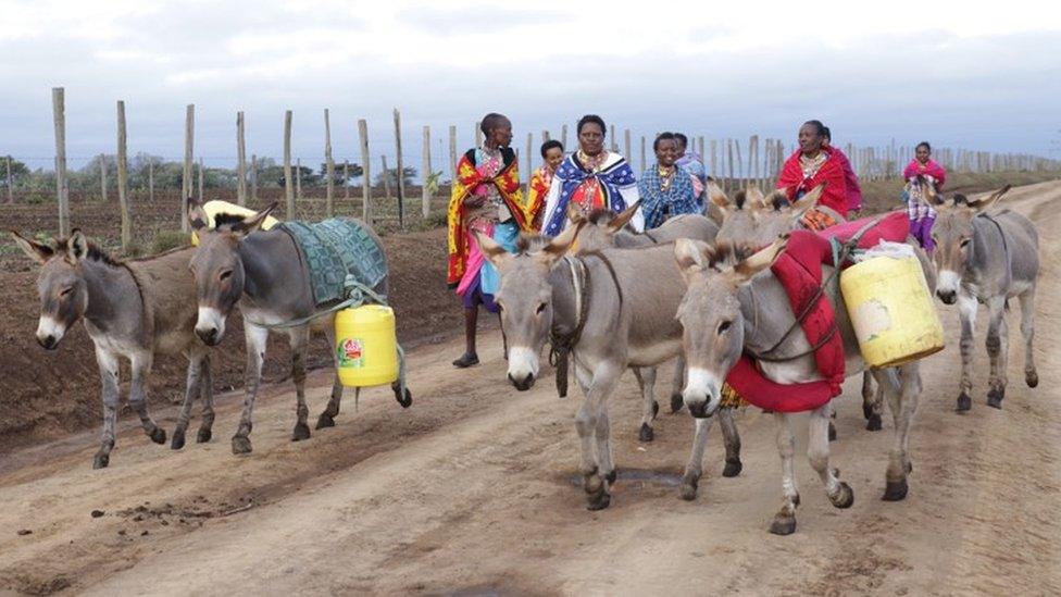 Women collect water with their donkeys in Kenya