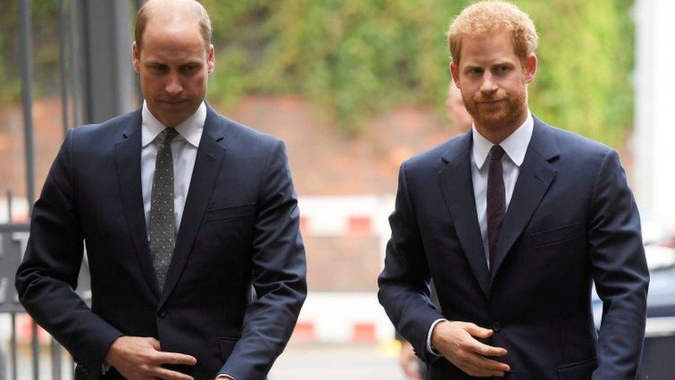 The Duke of Cambridge and Prince Harry