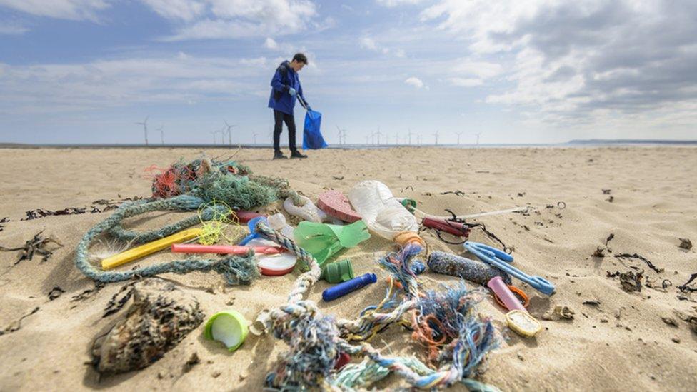 person cleaning up beach plastic