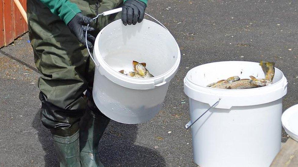 Peter Robinson holds bucket of dead fish