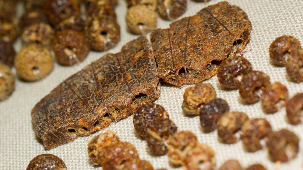 Close-up of old amber beads and a rectangular section with evenly spaced holes for strings, all very worn now