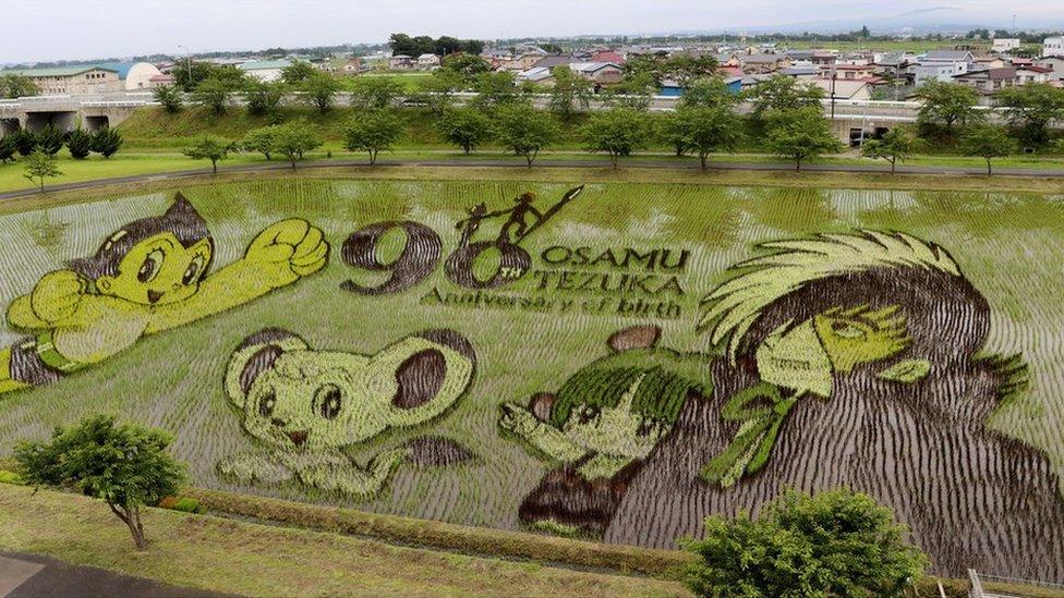 Manga artist Osamu Tezuka's most famous characters are created in a Japanese rice field