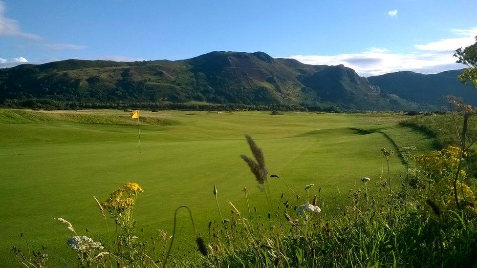 In the rough: Shaun Burkey took this shot at Conwy Golf Club