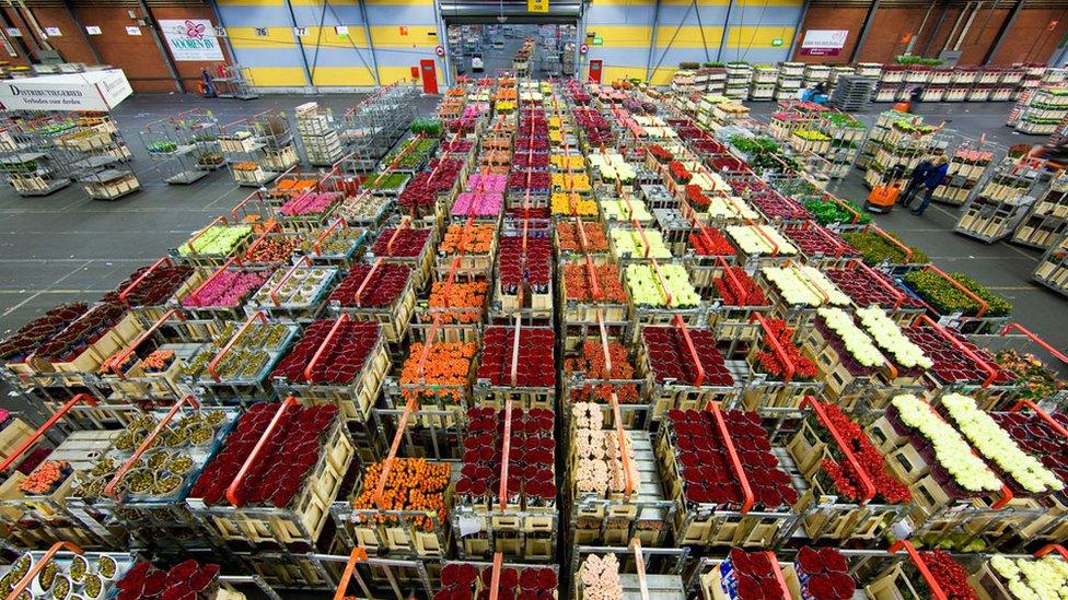 A flower auction in the Netherlands