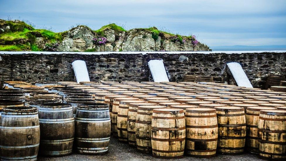 whisky barrels on Islay