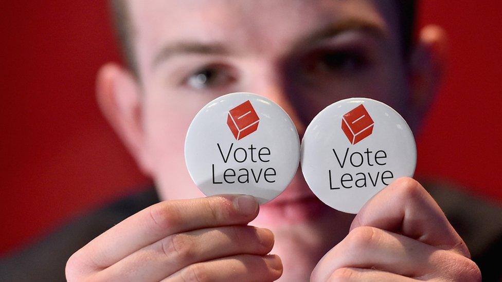 Leave voter