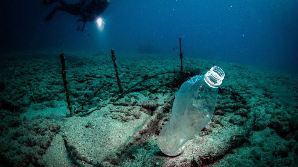 Bottle-under-the-sea.