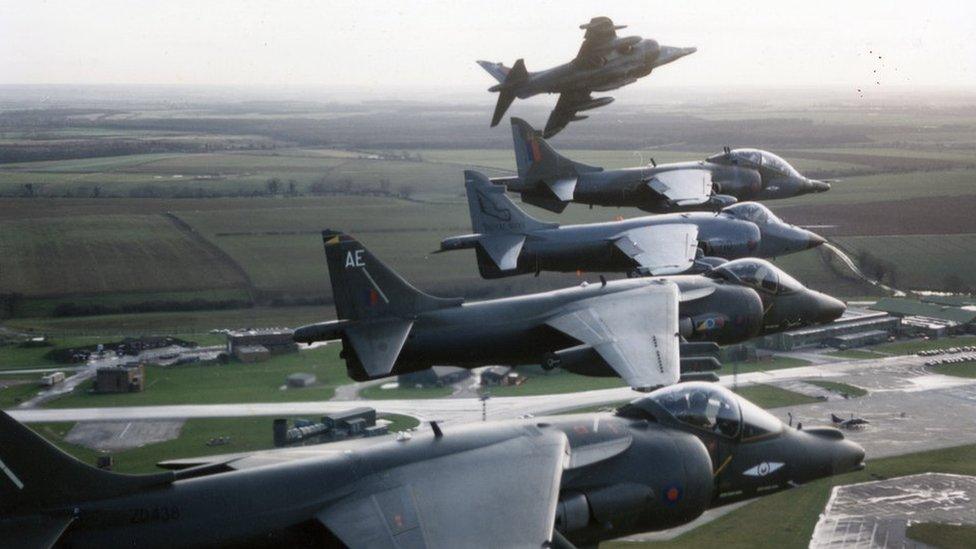 Harriers