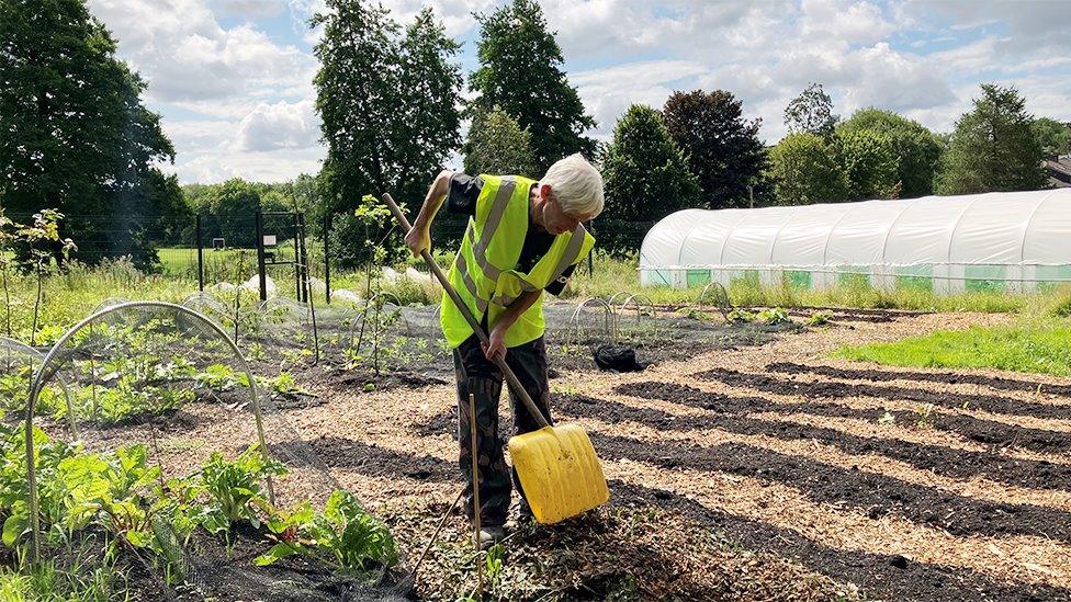 Volunteer working at the Northern Roots site