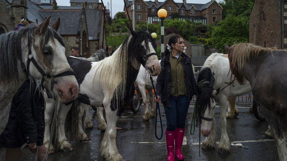 A woman holds horses during the annual Appleby Horse Fair