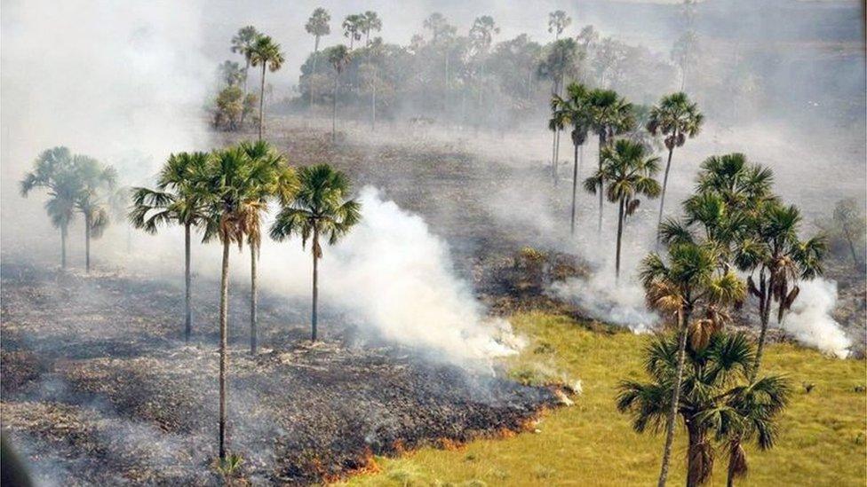 This handout picture released by Chico Mendes Institute for Biodiversity Conservation shows an aerial view of an area affected by fire at Chapada dos Veadeiros National Park in the state of Goias, Midwest of Brazil on October 23, 2017.