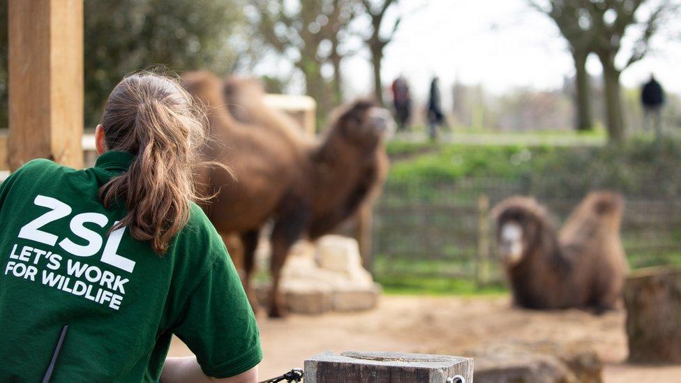 zookeeper-london.