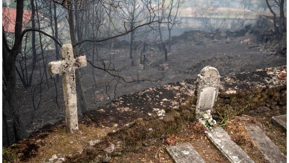 A view of a burnt area after a forest fire in Abelenda das Penas, Orense, Galicia, Spain, 16/10/2017