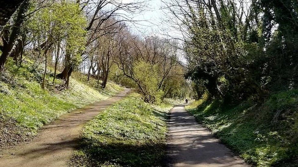 Liverpool loop line