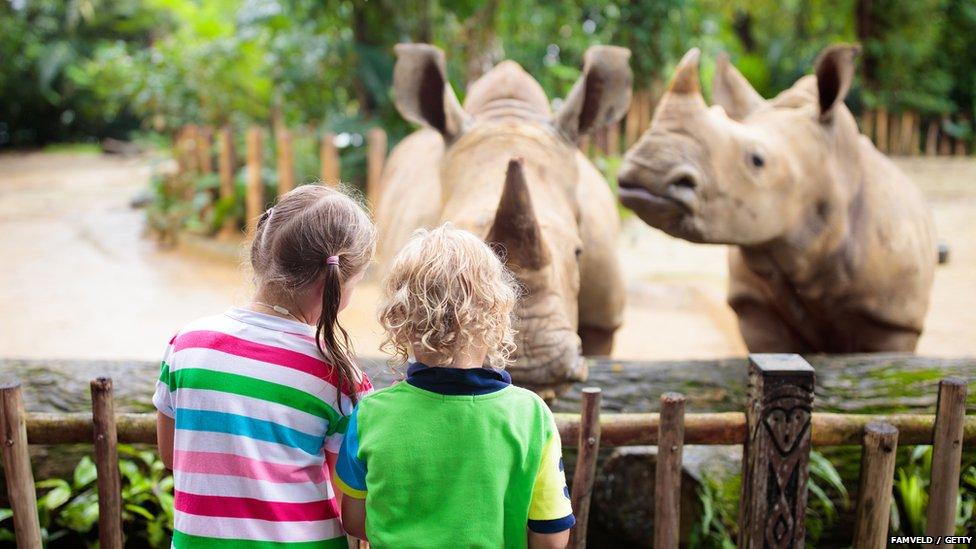 kids seeing rhinos at a zoo