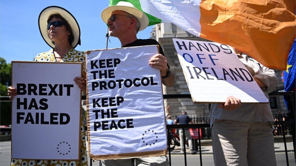 Protesters outside Parliament