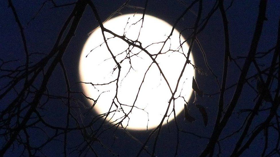 Full moon