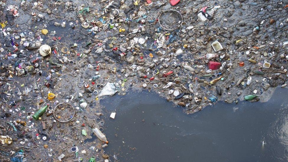 Plastic rubbish floating in a body of water