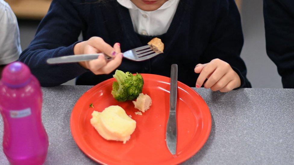 child eating school lunch