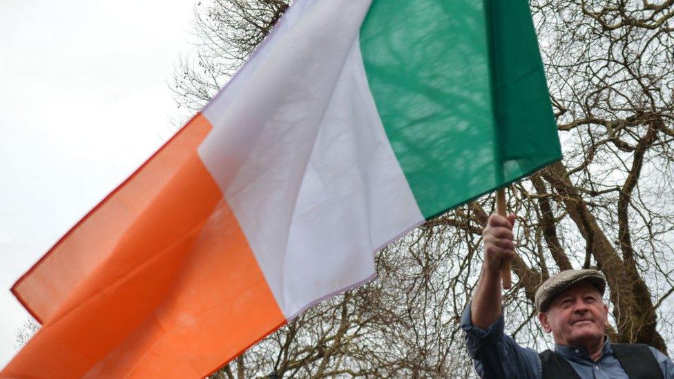 Man waves flag in front of Leinster House in December 2018