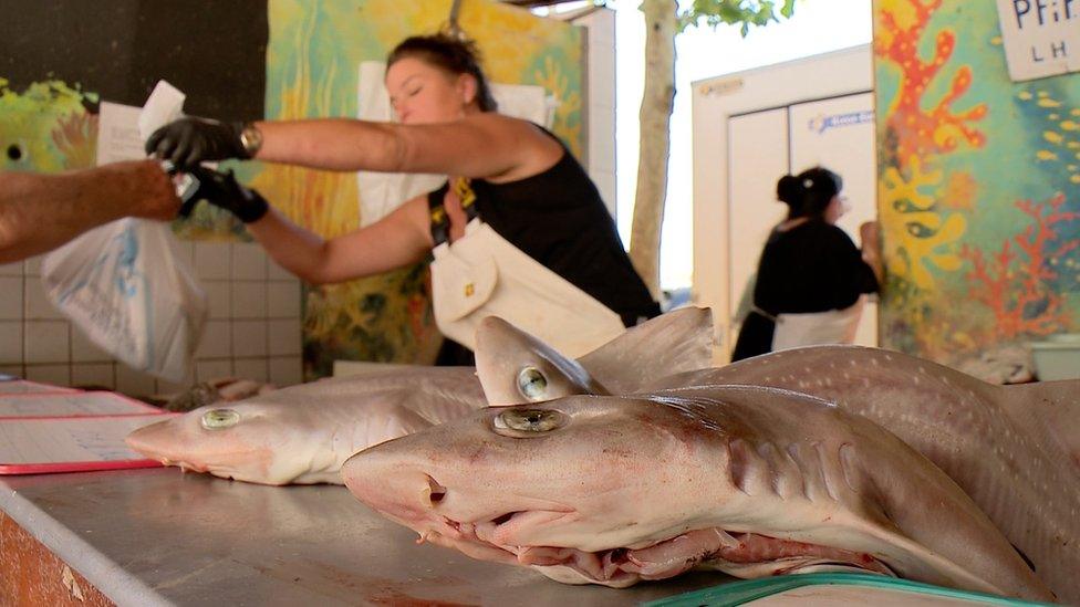 Fish counter in Le Havre