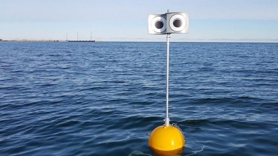 googly eyed buoy in the sea