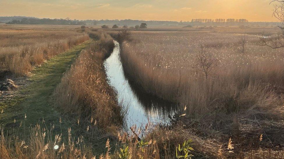 RSPB Minsmere