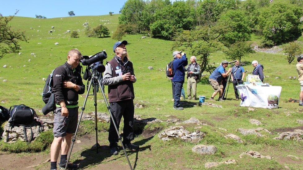 Malham Cove