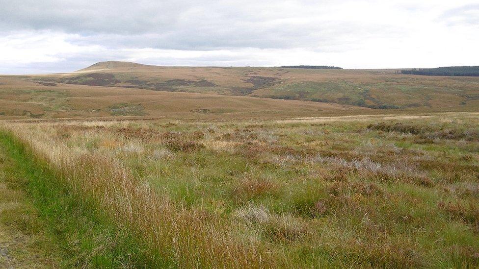 Langholm Moor