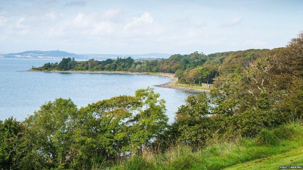 The sea plantation, Mount Stewart. Northern Ireland (c) Paul Canning