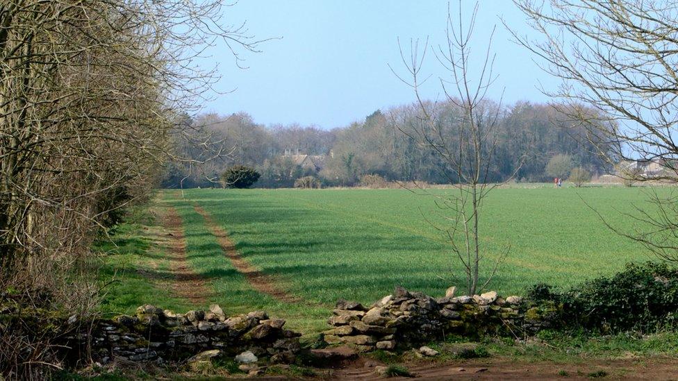 The plateau and Suli manor