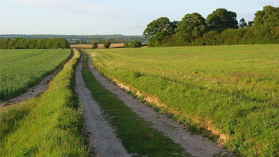 Bazeley Copse Lane