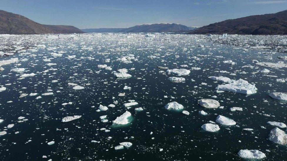 Ice melting in the sea in Scoresby Fjord, Greenland.