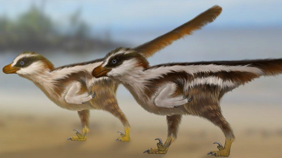 What the dinosaurs may have looked like