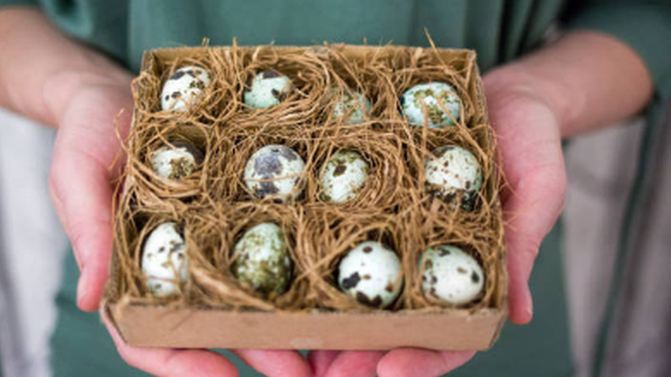 A box of quail eggs