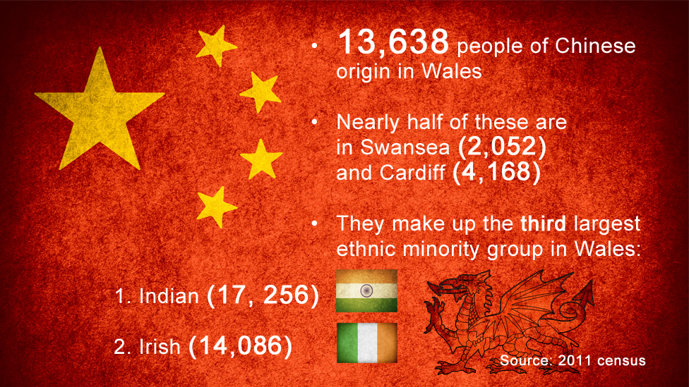 Graphic illustrating ethnic minority populations