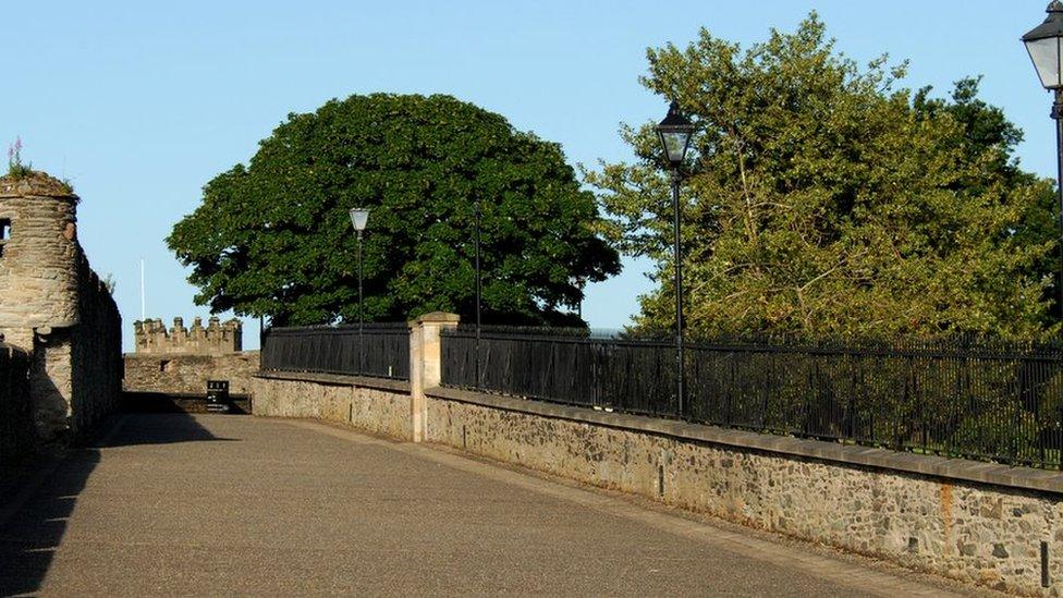 The walls