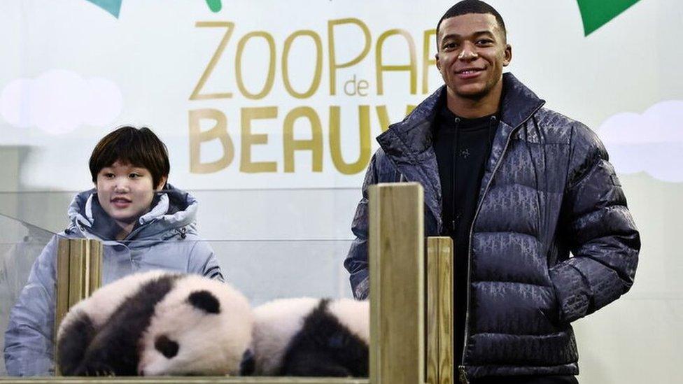 Zhang Jiaqi, Mbappé and the pandas.