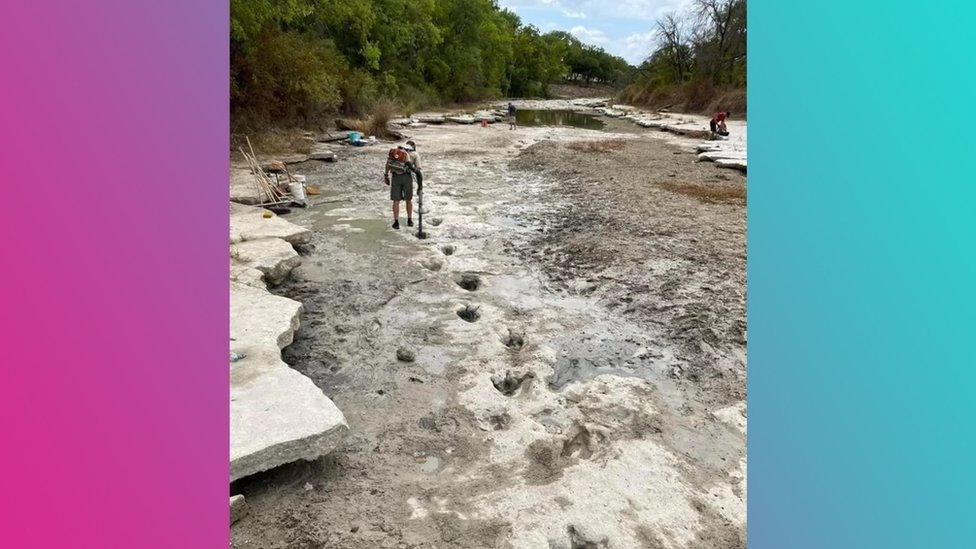 dried-up-river-bed-with-tracks