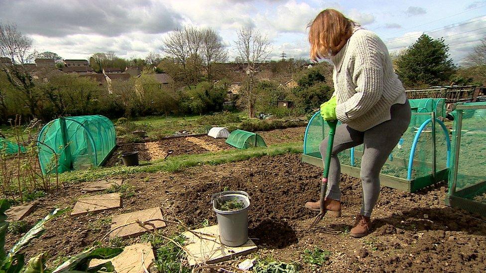 Allotment